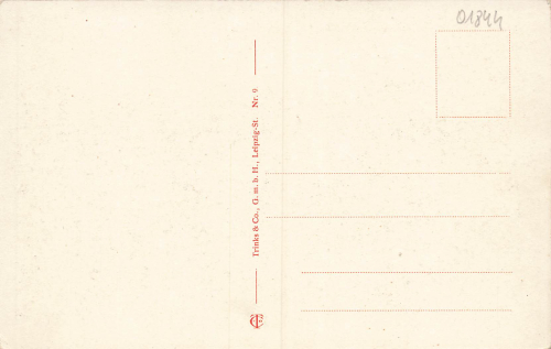 01844 Neustadt Sachsen Amtsgericht Postamt * um 1910