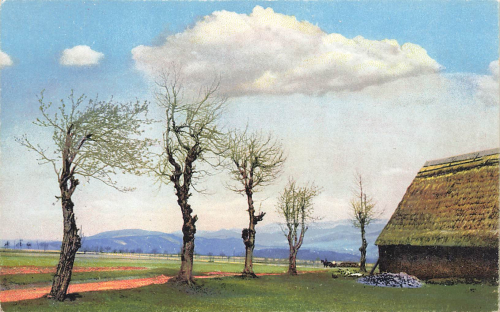 Nollendorfer Hoehe Photochromie * um 1920