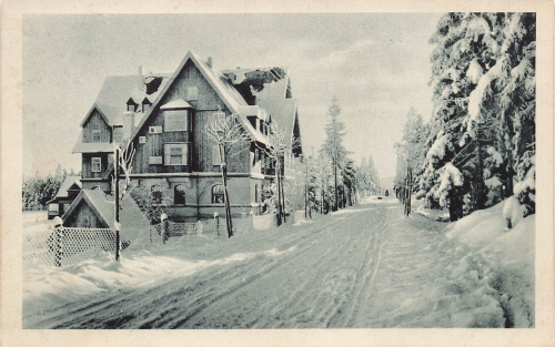 01773 Oberbaerenburg Erzgebirge Dolzes Berghotel Friedrichshoehe o 1917