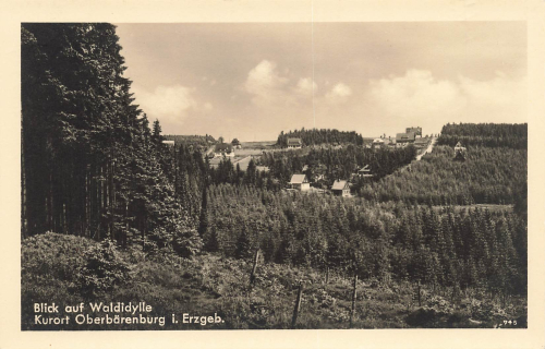 01773 Oberbaerenburg Erzgebirge Waldidylle gebraucht um 1940