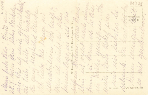 01773 Oberbärenburg Erzgebirge Waldidylle gebraucht um 1940