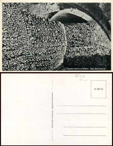 Oppenheim ossuary (skull) * around 1930
