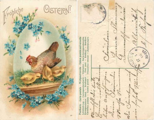 Easter hen with chicks, embossed card o April 17, 1906