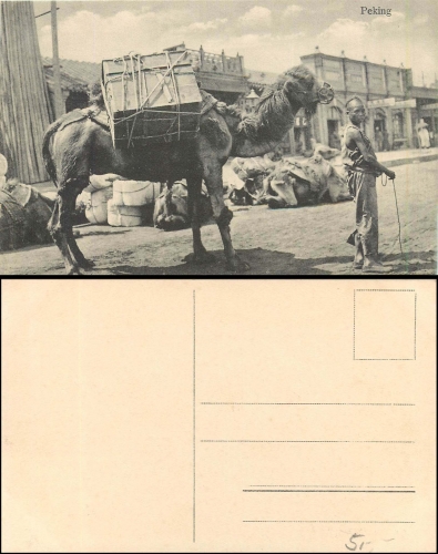 China Beijing boy with camel * around 1910