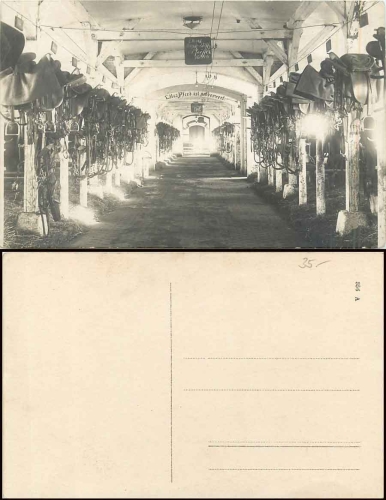 Pferdestall sehr schöne Echtfoto-AK  * ca.1910