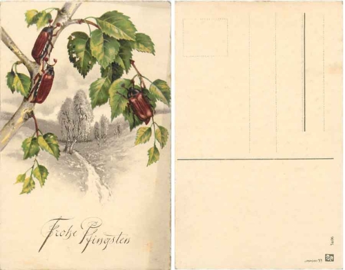 Pentecost cockchafer * ca. 1930