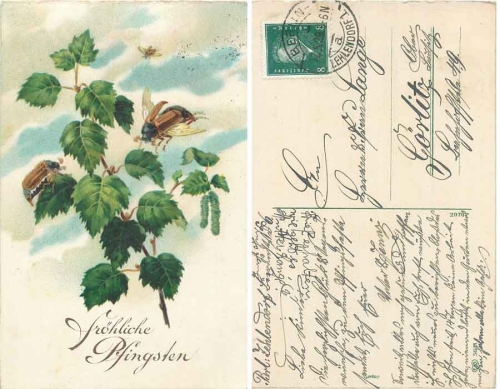 Pentecost cockchafer with green branch, o May 12, 1929