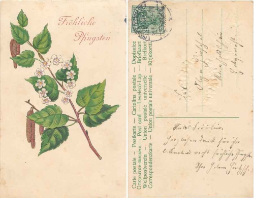 Pentecost flowers embossed card o 31.5.1912