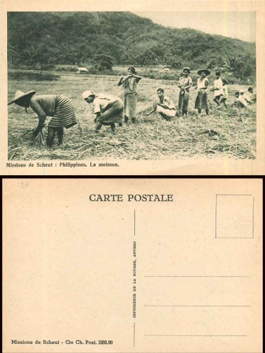 Philippines farmers at harvest agriculture * ca.1930