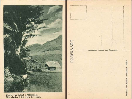 Philippines rice plantation * approx. 1930