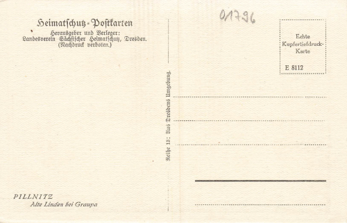 Pillnitz Dresden old linden tree near Graupa * around 1930 Heimatschutzpostkarte (local heritage postcard)