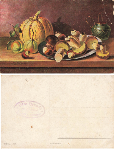 Pilze Künstlerkarte 229 *ca.1920