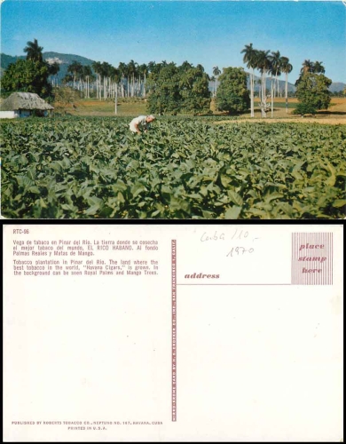 Pinar del Rio Cuba Tobacco plantation *ca. 1970