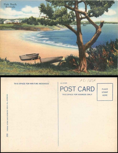 Bermuda Pink Beach *ca. 1910
