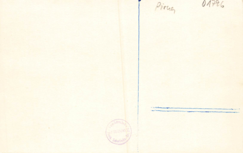 01796 Pirna Elbe Erholungsheim "Friedland" * um 1950