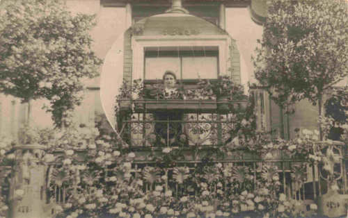 Zwickau Königstrasse Echtfotokarte o 1913