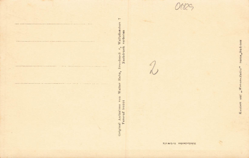 01829 Poetzscha Stadt Wehlen * um 1930 Hahn-Foto3556