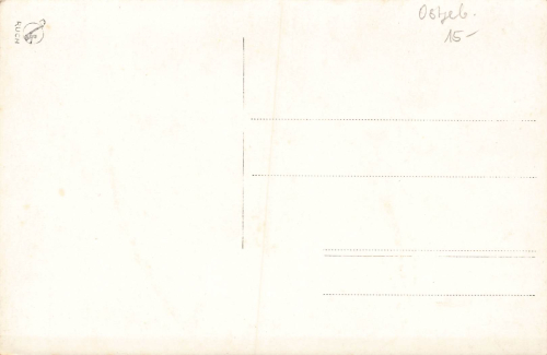 Poznan Castle * around 1940