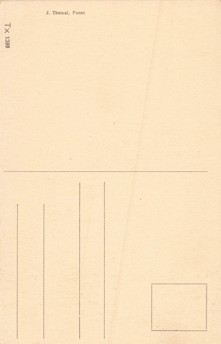 Poznan Castle * 1920