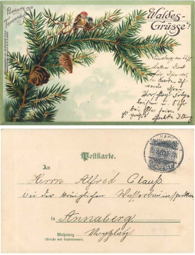 Postcard with the scent of fir trees o 22.8.1900