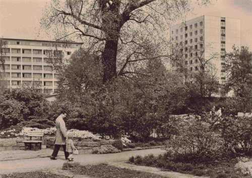 Potsdam Freundschaftsinsel alte Ansichtskarte * 1967