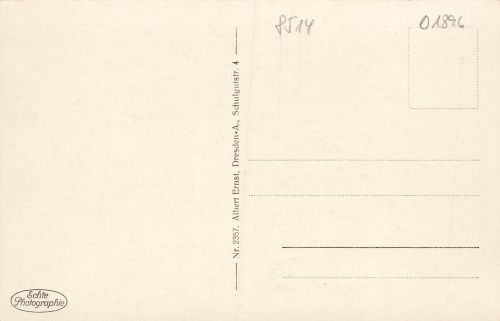 01896 Pulsnitz Schlossteich * um 1930