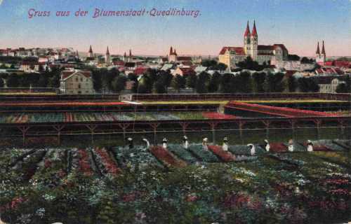 Quedlinburg Blumenstadt o 1916