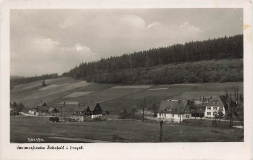 01773 Rehefeld Erzgebirge Sommerfrische o 1954