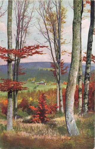 01773 Rehefeld Erzgebirge Schloss vom Hemmschuh * um 1920