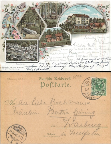 64686 Reichenbach Odenwald Hotel Felsberg Farblitho o 13.6.1898