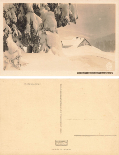 Riesengebirge Blaugrund Schlesien Hahn-Foto7035 * um 1920