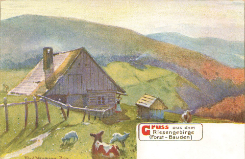 Forest Bauden Giant Mountains Artist's postcard Paul Neumann Budniki * around 1900