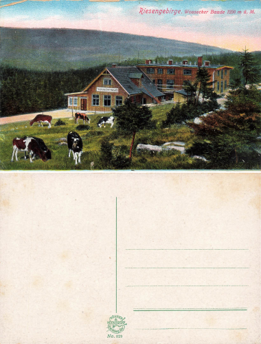 Riesengebirge Wossecker Baude Schlesien Vosecka bouda * um 1920