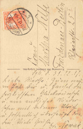 Sangerhausen Ruine im Rosarium o 1917