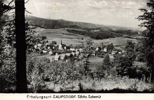 01855 Saupsdorf Sächsische Schweiz * 1960