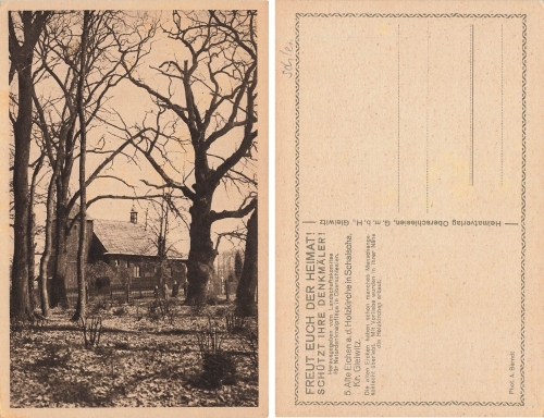 Schalscha Oberschlesien alte Eichen Szalsza * um 1920