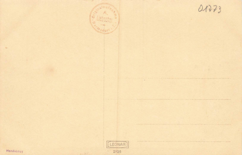 01773 Schellerhau Erzgebirge * um 1930