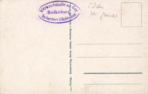 Bolkenhain Schweinhausburg Schlesien Świny * um 1920
