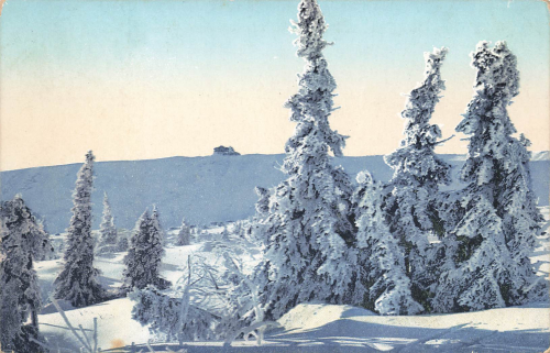 Schlingelbaude Riesengebirge Schlesien * um 1920