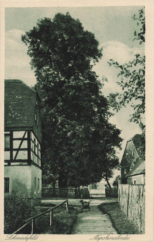 01909 Schmiedefeld bei Stolpen Gasthaus zum Fuchs Napoleonslinde * um 1930