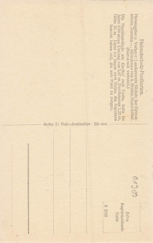 01909 Schmiedefeld bei Stolpen Gasthaus zum Fuchs Napoleonslinde * um 1930