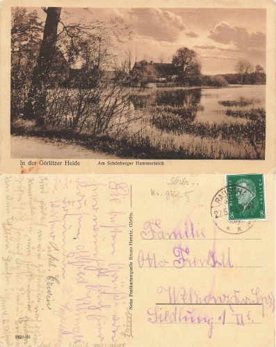 Schoenberger Hammerteich bei Neuhammer Oberlausitz  Widokówka wieloobrazkowa o 1929