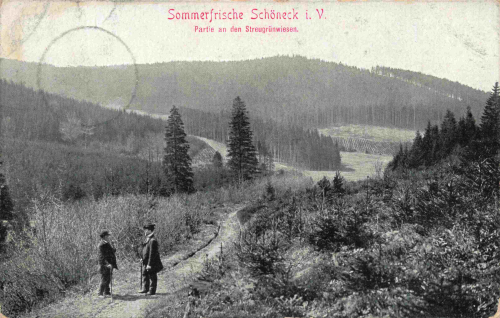 Schöneck Vogtland Streugrünwiesen o 1912