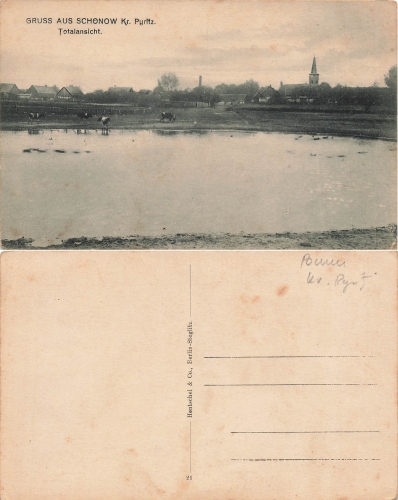 Schoenow Kreis Pyritz Pommern Jesionowo * um 1920