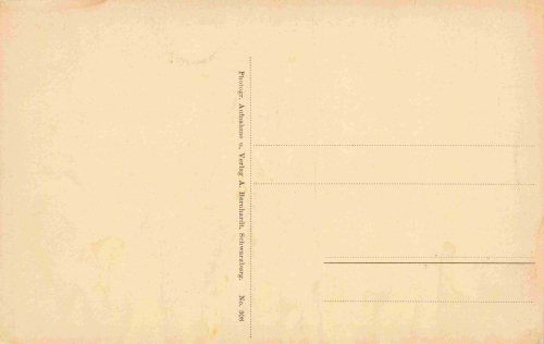 Schwarzburg Thüringer Wald Hotel zum weissen Hirschen * um 1920