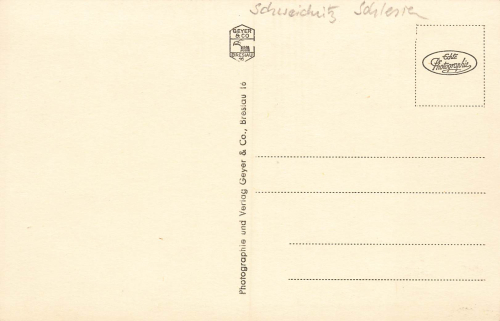 Schweidnitz Peace Oak Silesia Swidnica * around 1930