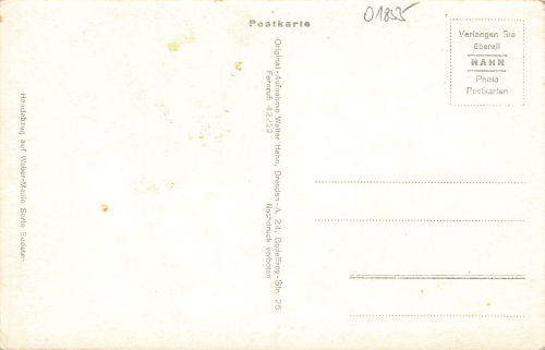 01855 Sebnitz in Sachsen * um 1930 Hahn-Foto8299