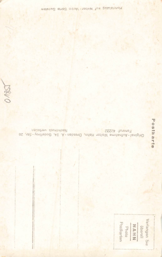 01855 Sebnitz in Sachsen * um 1930 Hahn-Foto11846