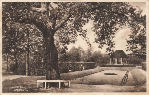 01968 Senftenberg Stadtpark o 1935
