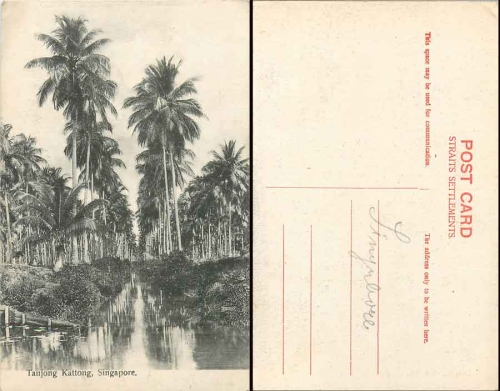 Singapur Taujong Kattong *ca. 1910